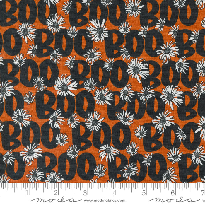 Noir - Flower Boo Pumpkin