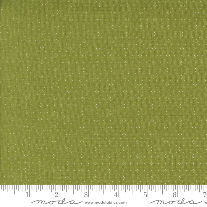 Buon Natale - Eyelet Pine