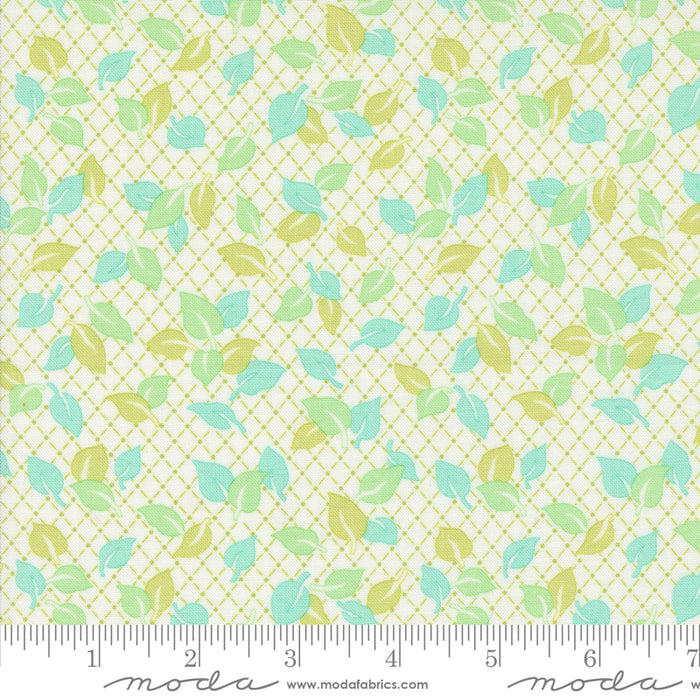 Jelly & Jam - Toppers Green Apple