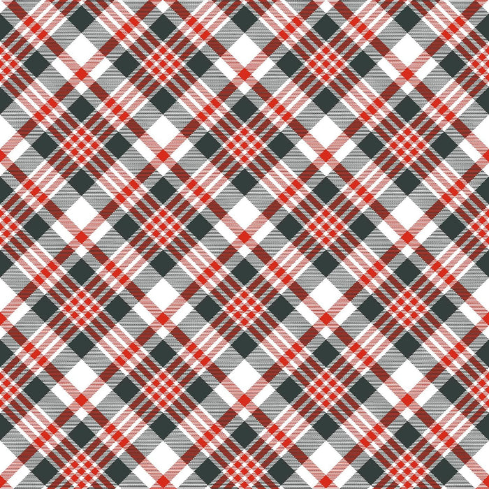 Pinecone Ridge Lodge - Bias Plaid Multi 15" Remnant