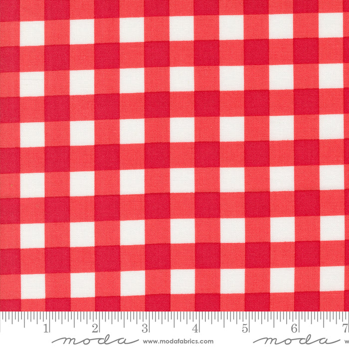 Coriander Colors - Gingham Checks Red