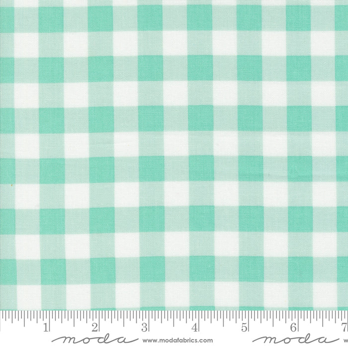 Coriander Colors - Gingham Checks Aqua