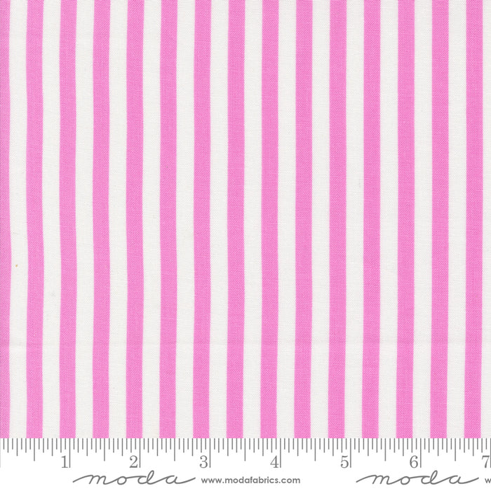 Coriander Colors - Stripes Purple 12" Remnant