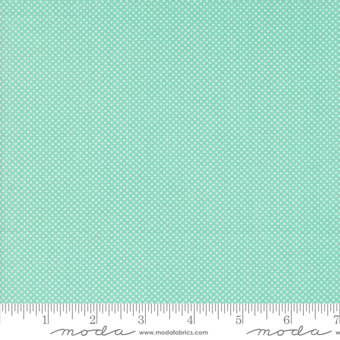 Coriander Colors - Tiny Dot Aqua