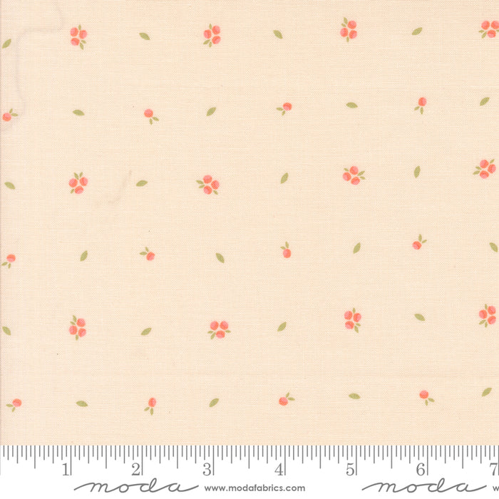 Abloom - Little Sprout Pale Pink