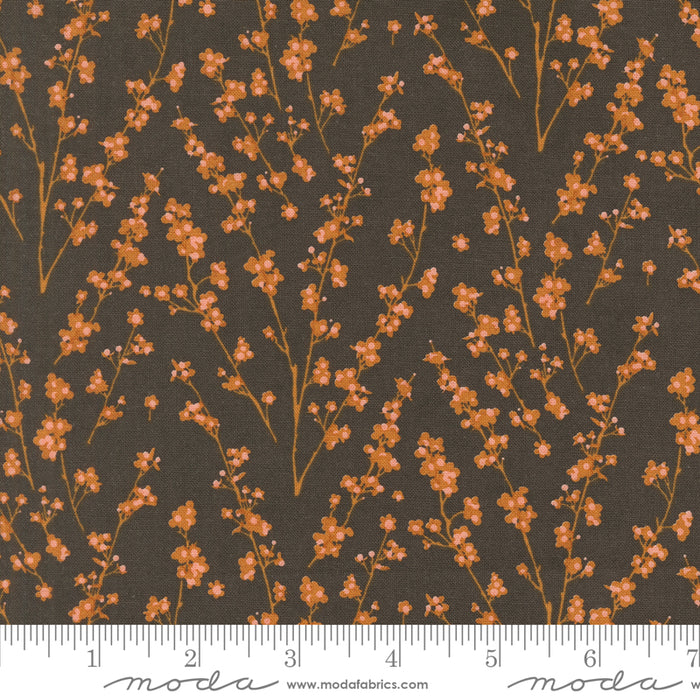 Acorn Hollow - Twiggy Florals Soil