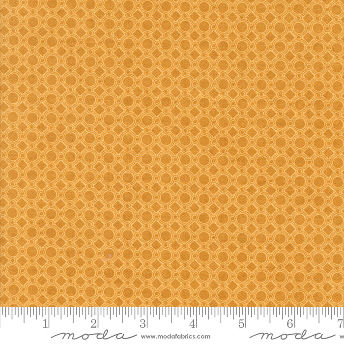 Acorn Hollow - Dot Geometric Maize