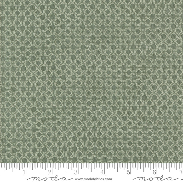 Acorn Hollow - Dot Geometric Eucalyptus