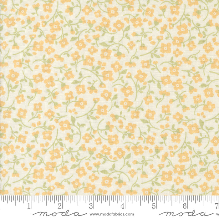 Dainty Meadow - Meadow Porcelain Buttercup