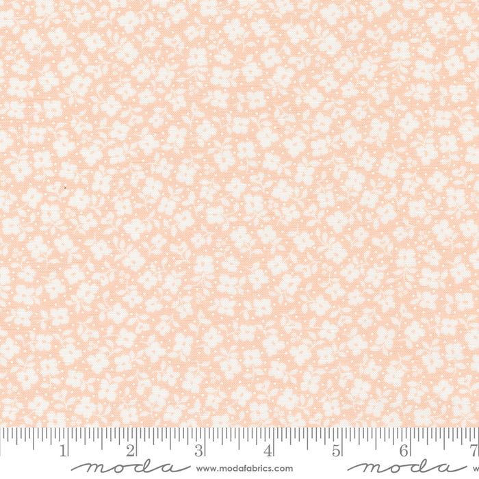 Dainty Meadow - Petals Peachy