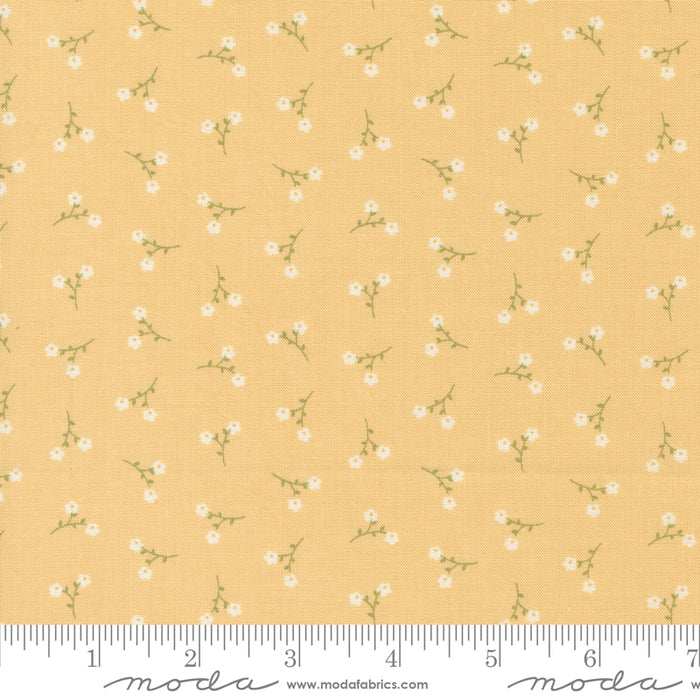 Dainty Meadow - Toss Ditsy Buttercup
