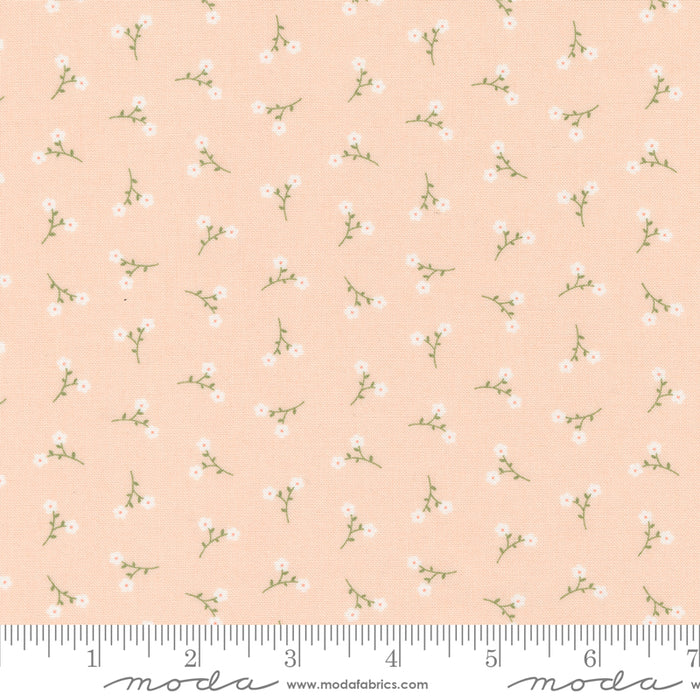 Dainty Meadow - Toss Ditsy Blush