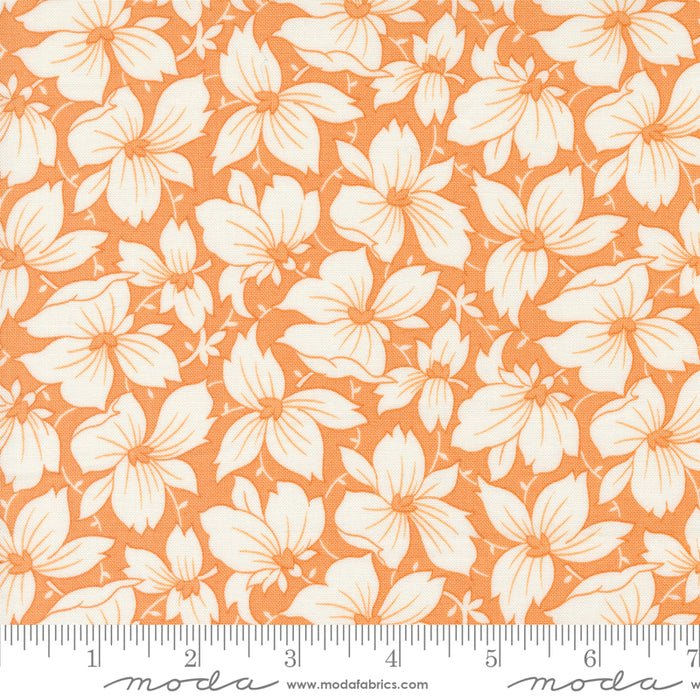 Denim & Daisies - Sunday Best Butterscotch