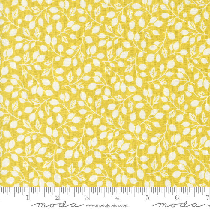 Portofino - Olive Branch Citron