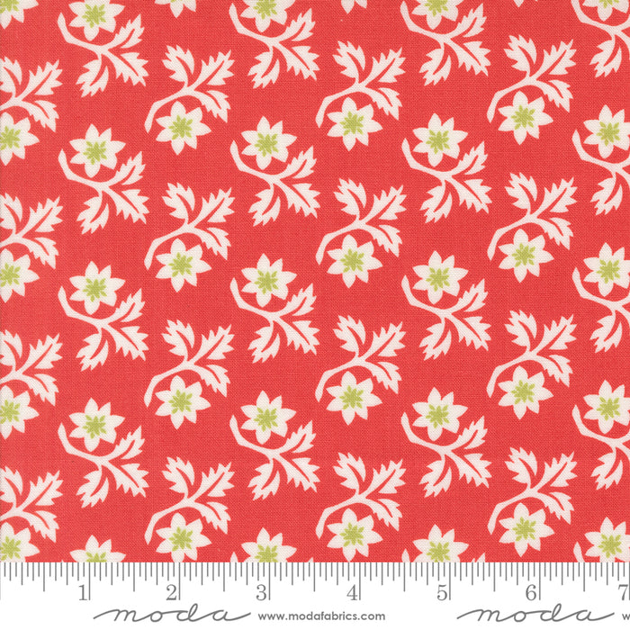 Buon Natale - Woodcut Florals Poinsettia