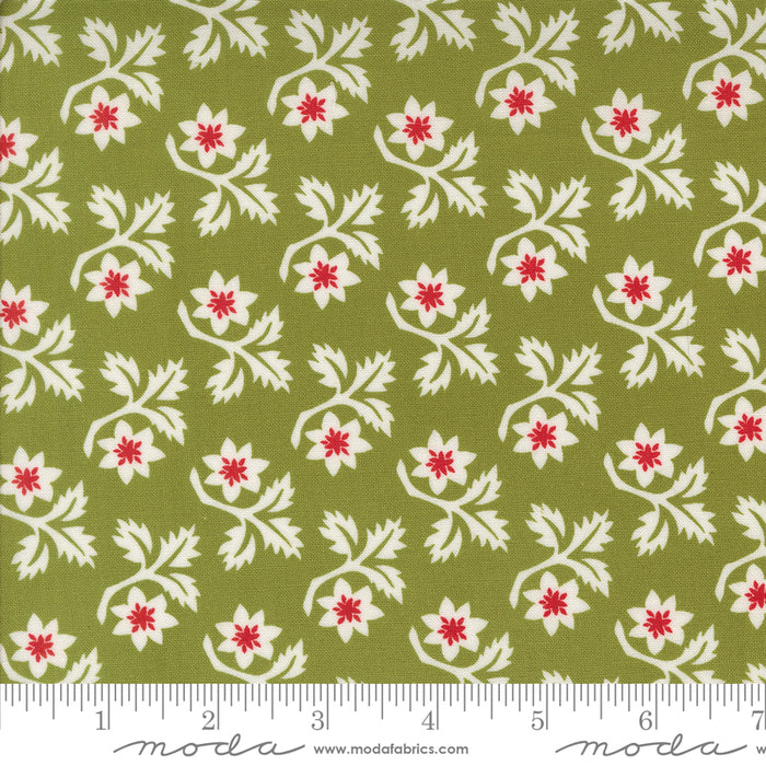 Buon Natale - Woodcut Florals Pine