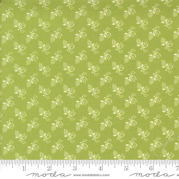 Buon Natale - Winter Buds Cedar