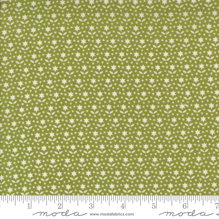 Buon Natale - Star Blooms Pine