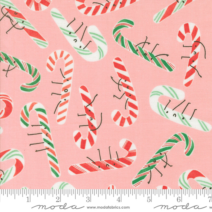 Tiny Christmas - Candy Cane Cotton Candy