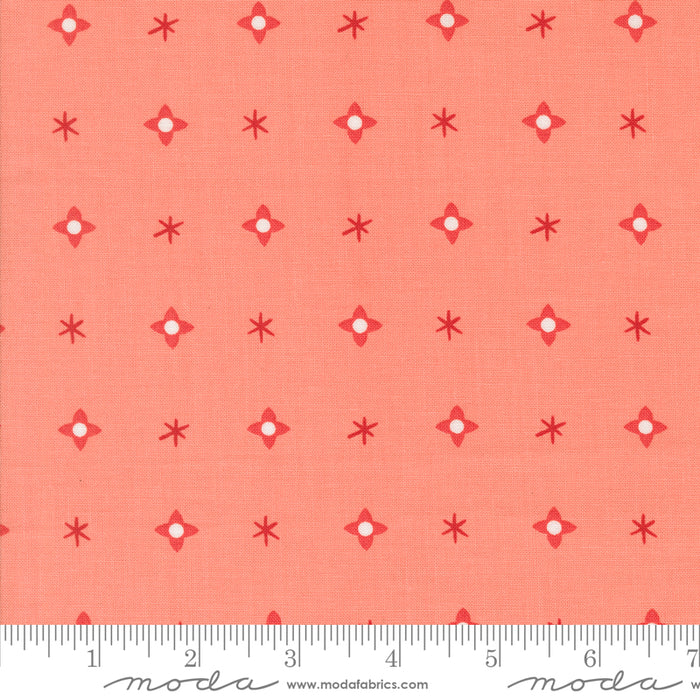Tiny Christmas - Christmas Star Carnation