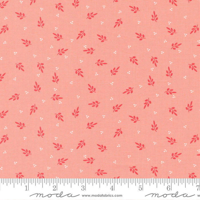 Favorite Things - Holly Blush 8" Remnant