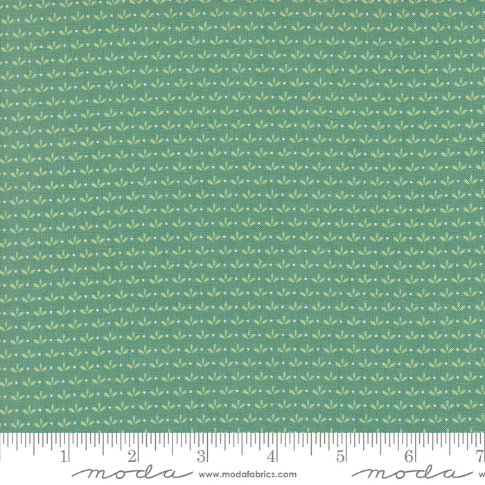 Raspberry Summer - Sprout Teal