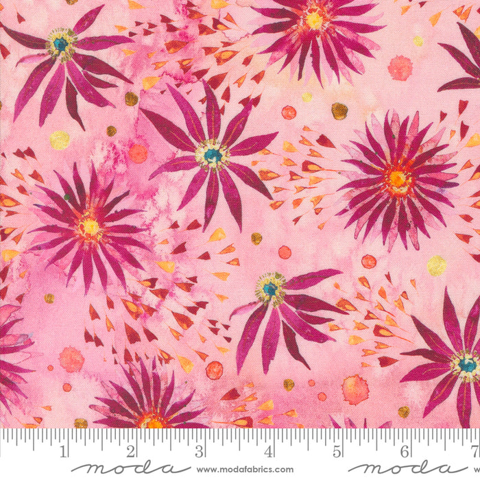 Coming Up Roses - Rose Colored Glasses Peony