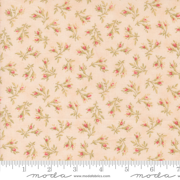 Muse - Rosebuds Blush