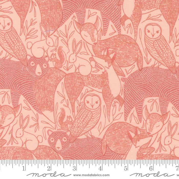 Woodland Wonder - Novelty Animals Blush