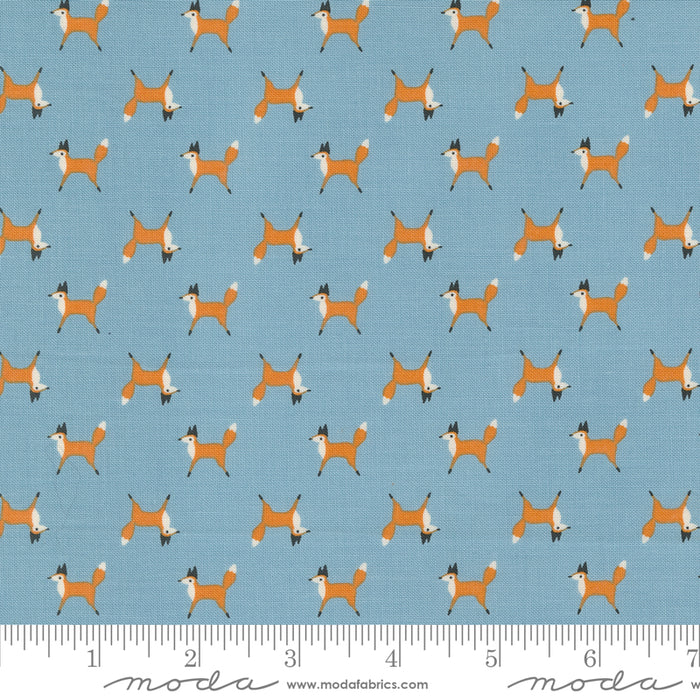 Woodland Wonder - Fox Trot Sky