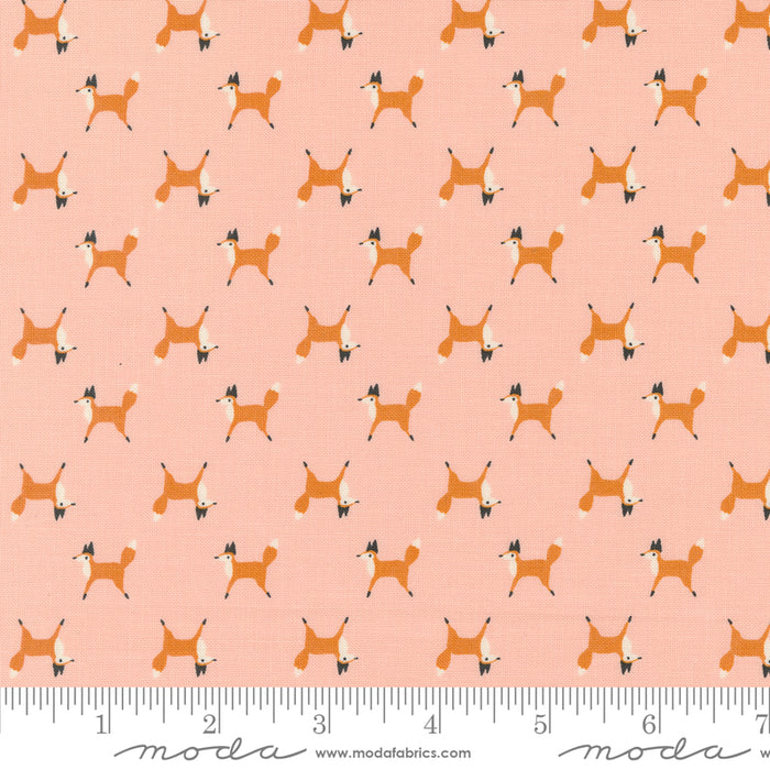 Woodland Wonder - Fox Trot Blush