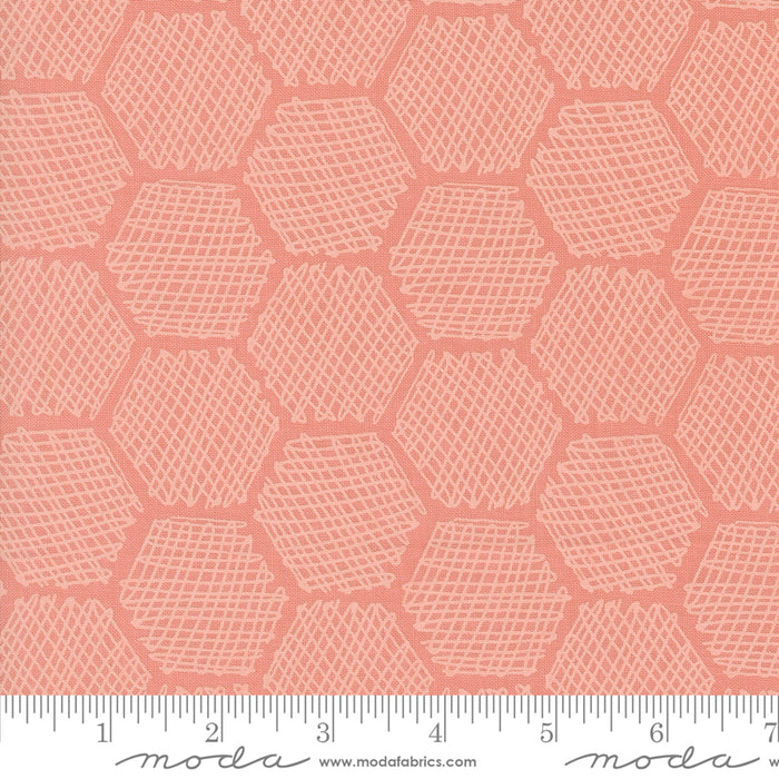 Bee Garden - Honeycomb Geometrics Carnation