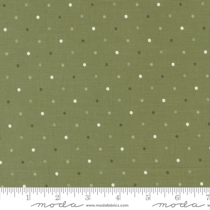 Magic Dot - Fern