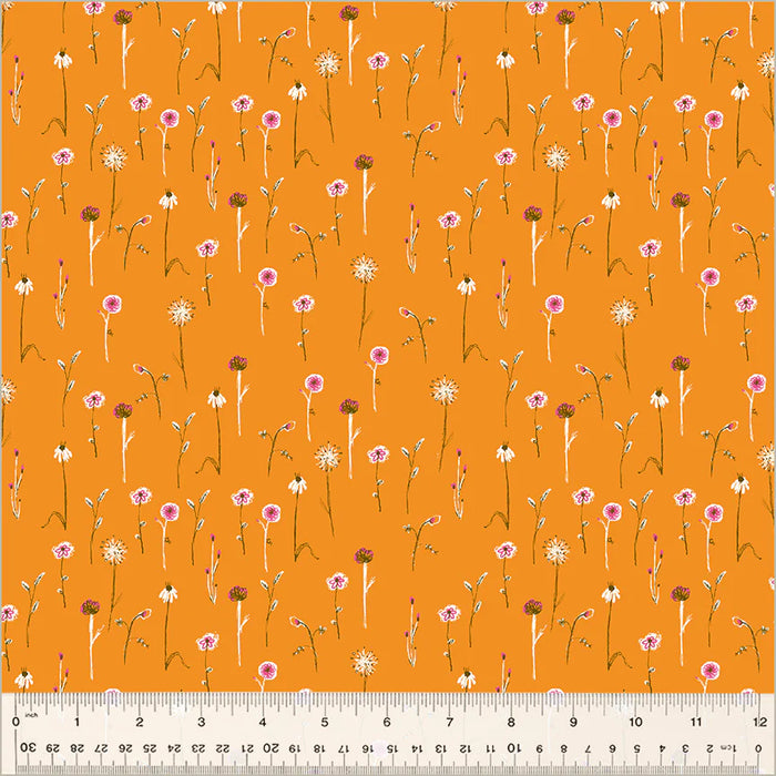 Studio Edit - Wildflowers Orange
