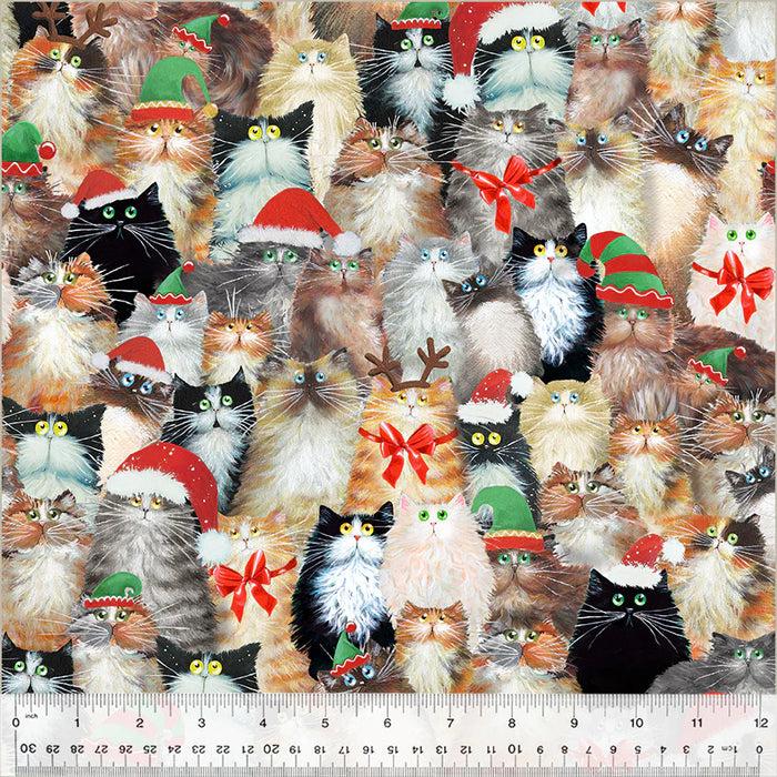 Meowy Christmas - Cats in Hats Multi