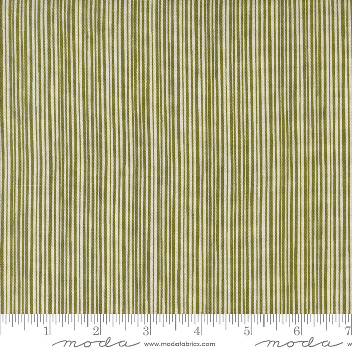 Emmitt & Ivy - Tiny Stripe Pine