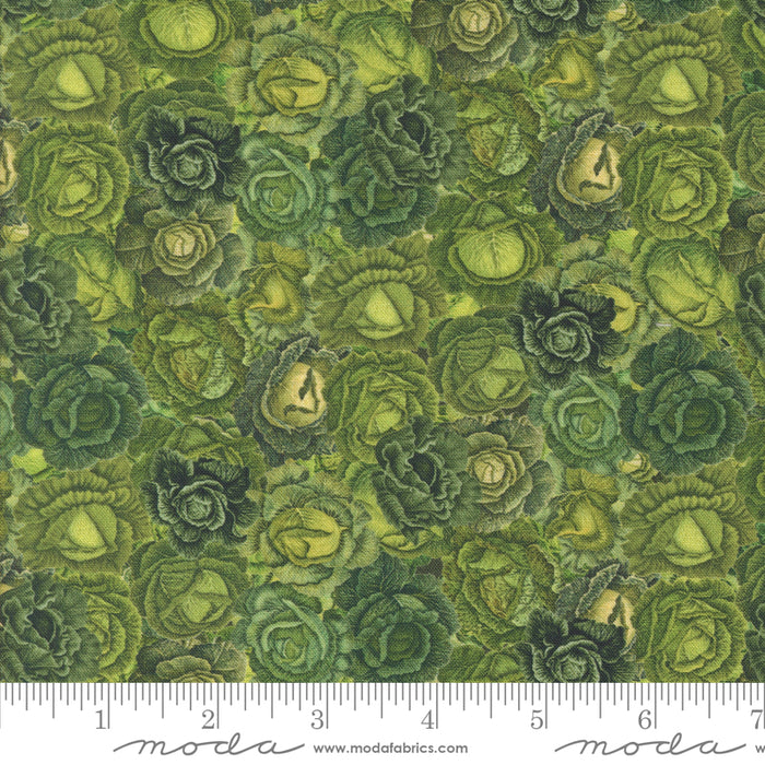 Farm & Garden - Lettuce Patch Leafy Green 16" Remnant