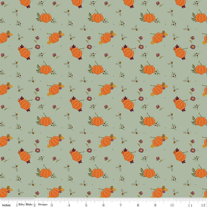 The Awe of Autumn - Pumpkins Hazy