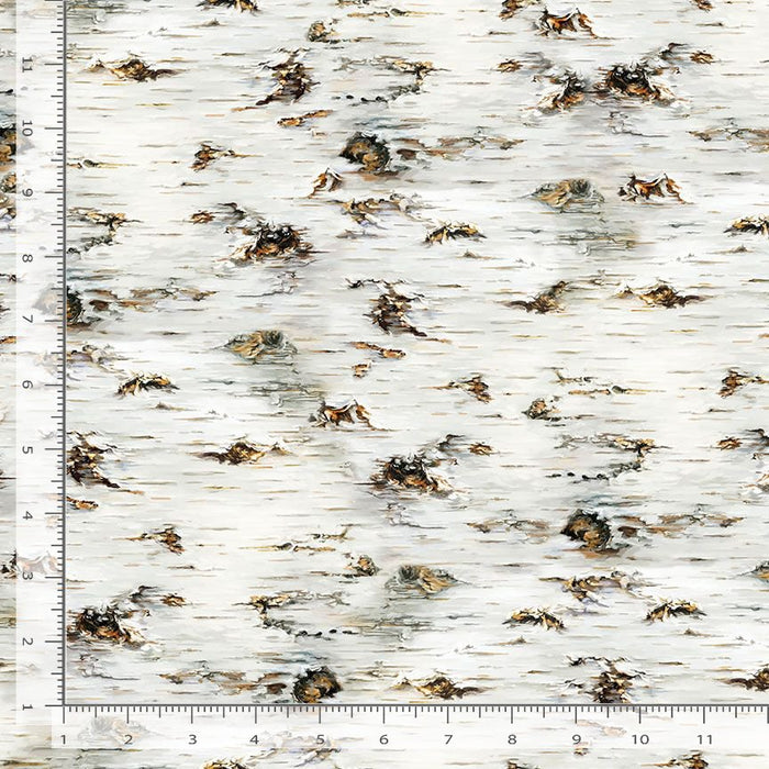 Misty Mountain - Birch Tree Texture