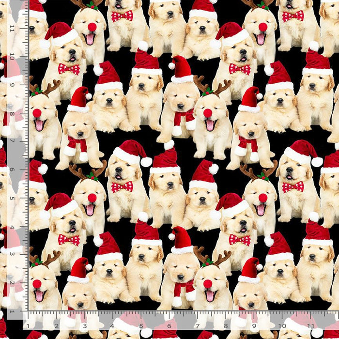 Holiday Lab Puppies - Black
