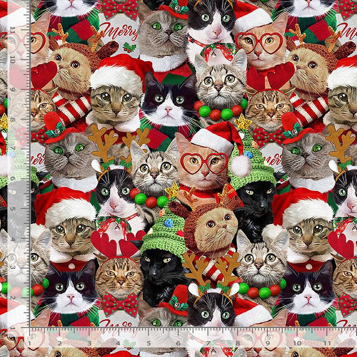 Packed Holiday Cats - Multi