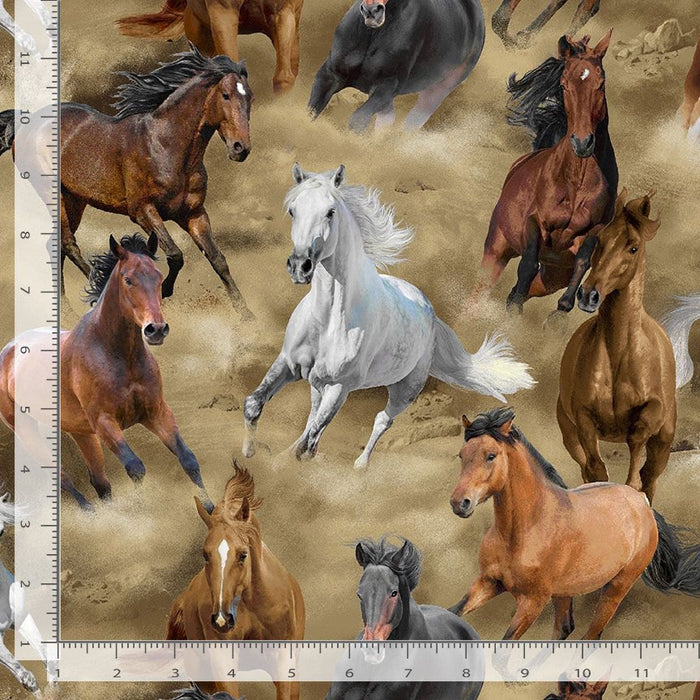 Wild Horses - Running Horses Natural