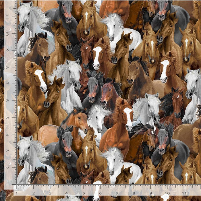 Wild Horses - Packed Horses Natural