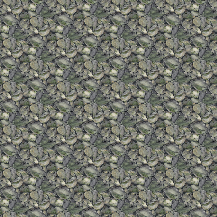 Nature Trail - Rocks Gray