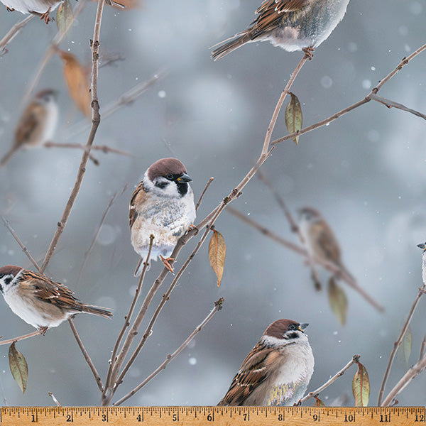 Call Of The Wild Digital Print - Sparrow