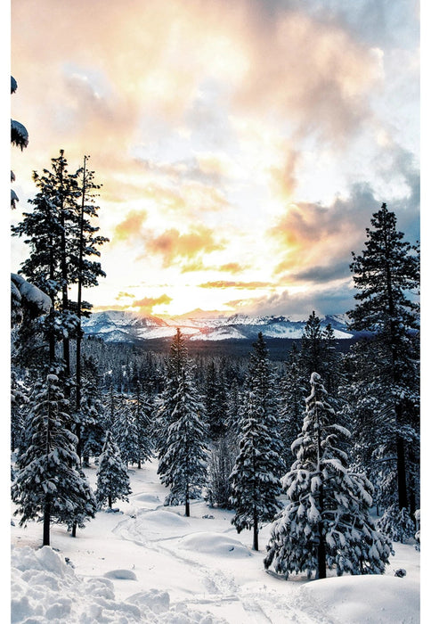 Call Of The Wild Digital Print Panel - Dawn