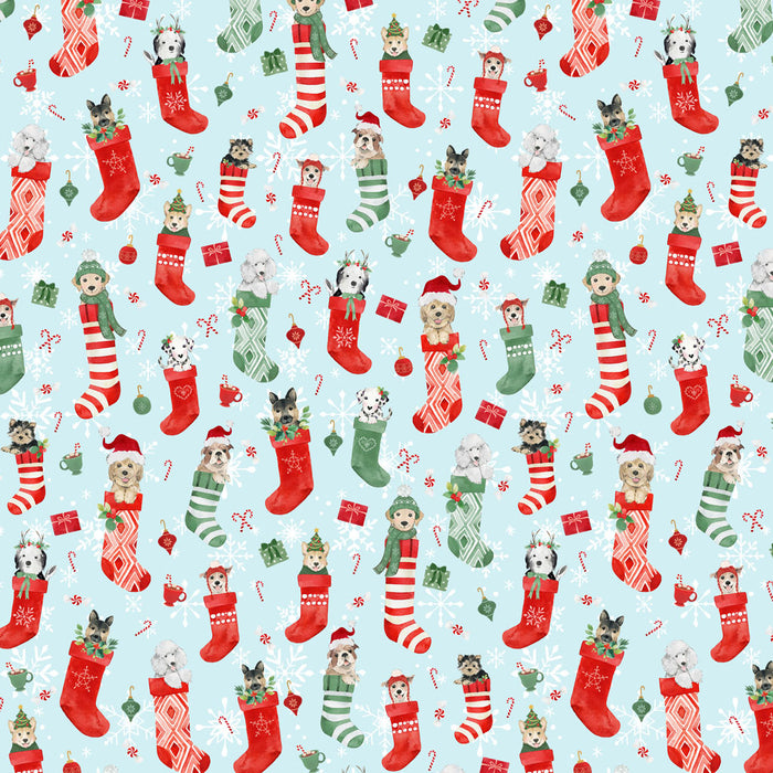 Santa Paws - Stockings Light Blue