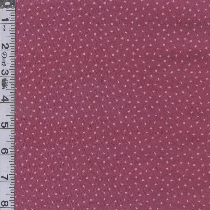 Twinkle - Purple