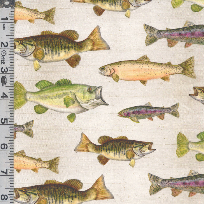 Fishful Thinking - Fish Taxidermy Off White