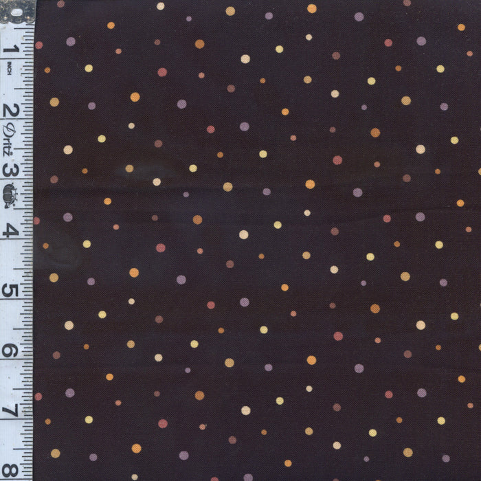 Whose Nose & Toes - Pin Dots Black